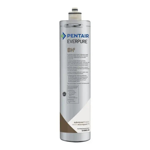 Everpure EV9612-50 BH2 Filter Cartridge - .5 Micron and .5 GPM EverPure