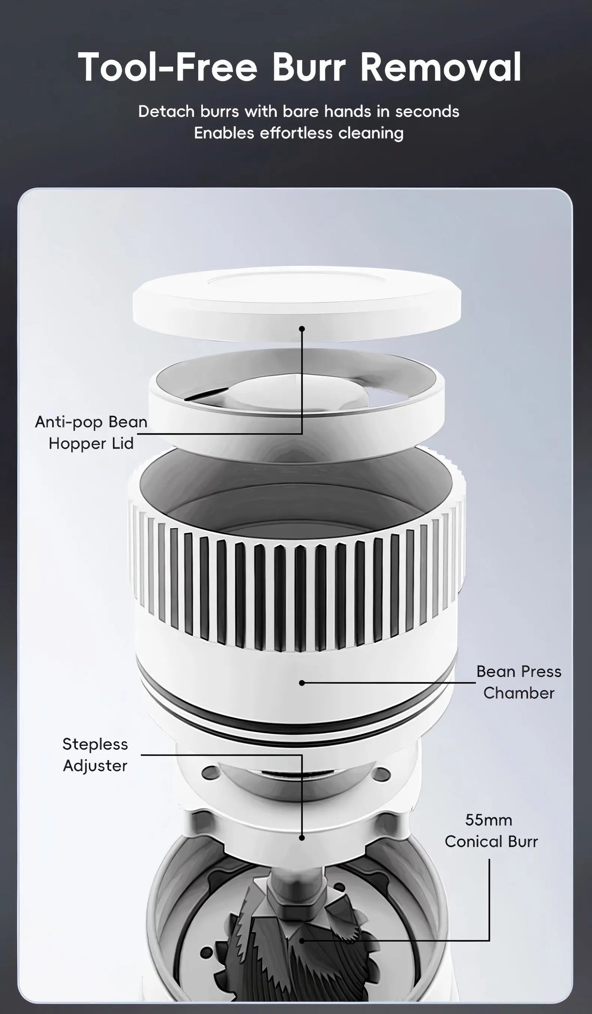 Starseeker E55Pro Electric Coffee Grinder Lastaforest