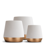 Joey Double Wall Ceramic Mugs Fellow