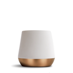 Joey Double Wall Ceramic Mugs - Joey Double Wall Ceramic Mugs - Matte White / Big Jo 12 oz | Fellow