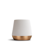 Joey Double Wall Ceramic Mugs - Joey Double Wall Ceramic Mugs - Matte White / Joey 8 oz | Fellow