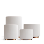 Monty Milk Art Cups Fellow