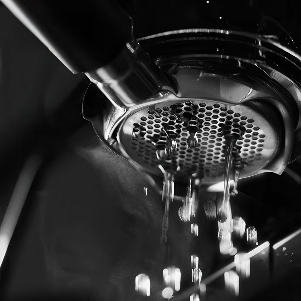 Openwork Bottomless Portafilter with High Extraction Basket Lastaforest
