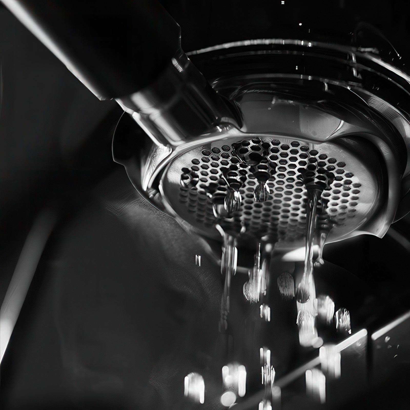 Openwork Bottomless Portafilter with High Extraction Basket Lastaforest