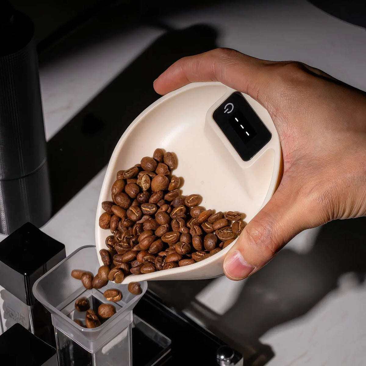 Electronic Walnut Coffee Scale With Leaf Shade Lastaforest