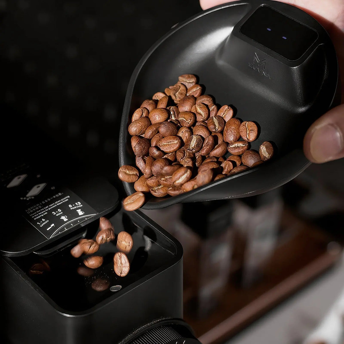 Electronic Walnut Coffee Scale With Leaf Shade Lastaforest
