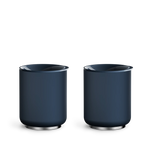 The Picnic Tumbler Set Fellow