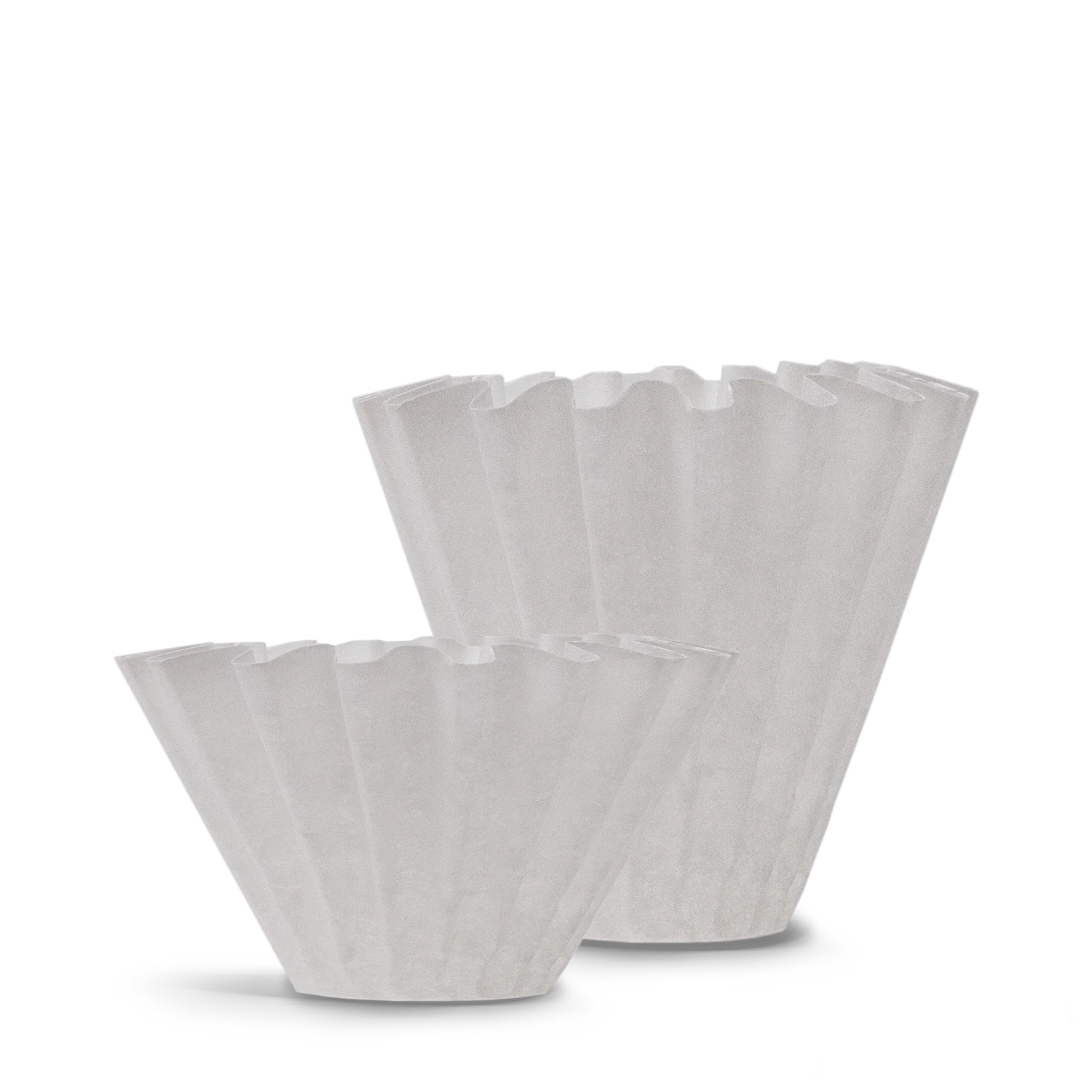 Stagg Paper Filters Fellow