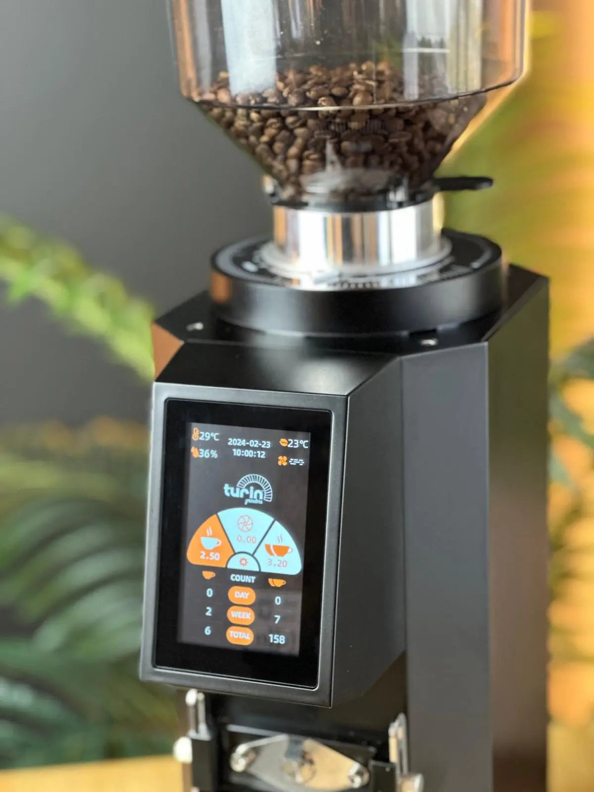 Turin ZF83 Commercial Espresso Grinder | 83mm Flat Burrs | High-Performance Café Grinder