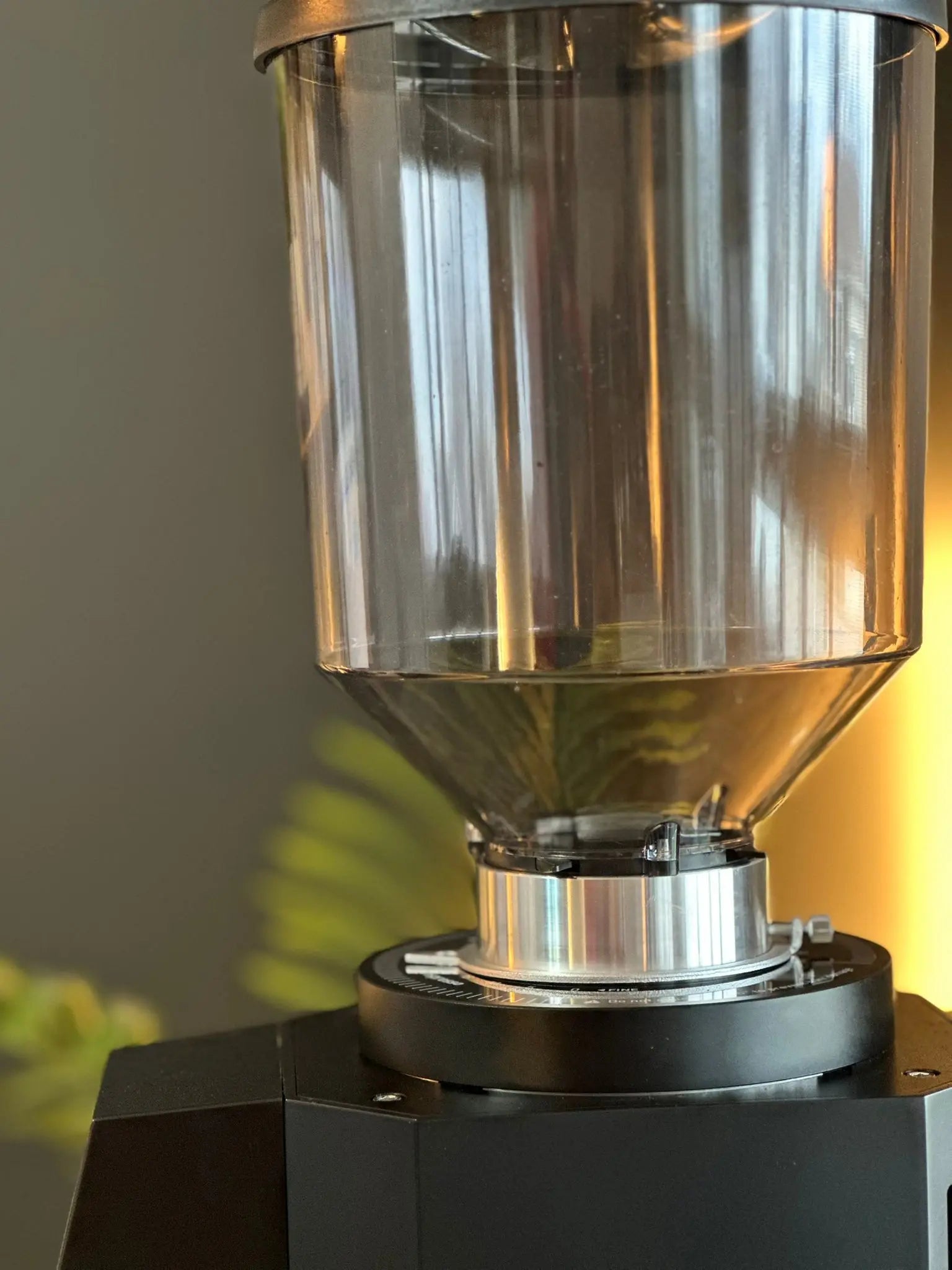Turin ZF83 Commercial Espresso Grinder | 83mm Flat Burrs | High-Performance Café Grinder